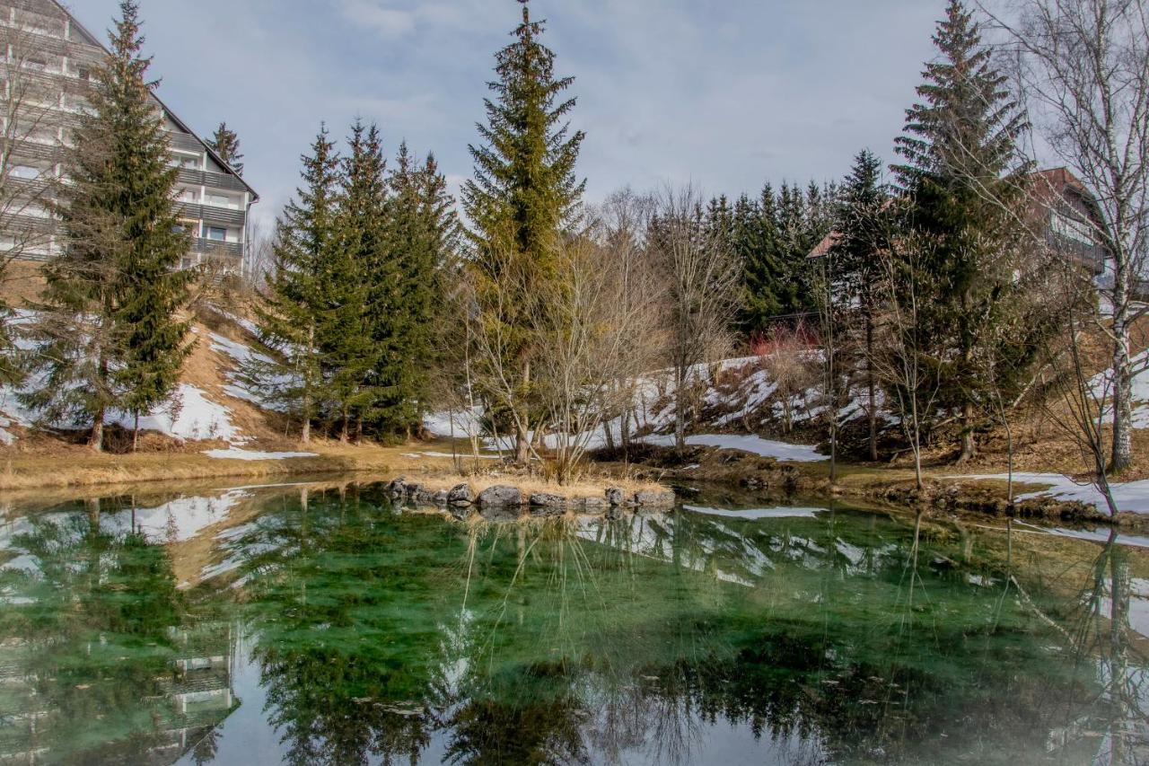 Ferienhaus Fux Bad Mitterndorf Bagian luar foto
